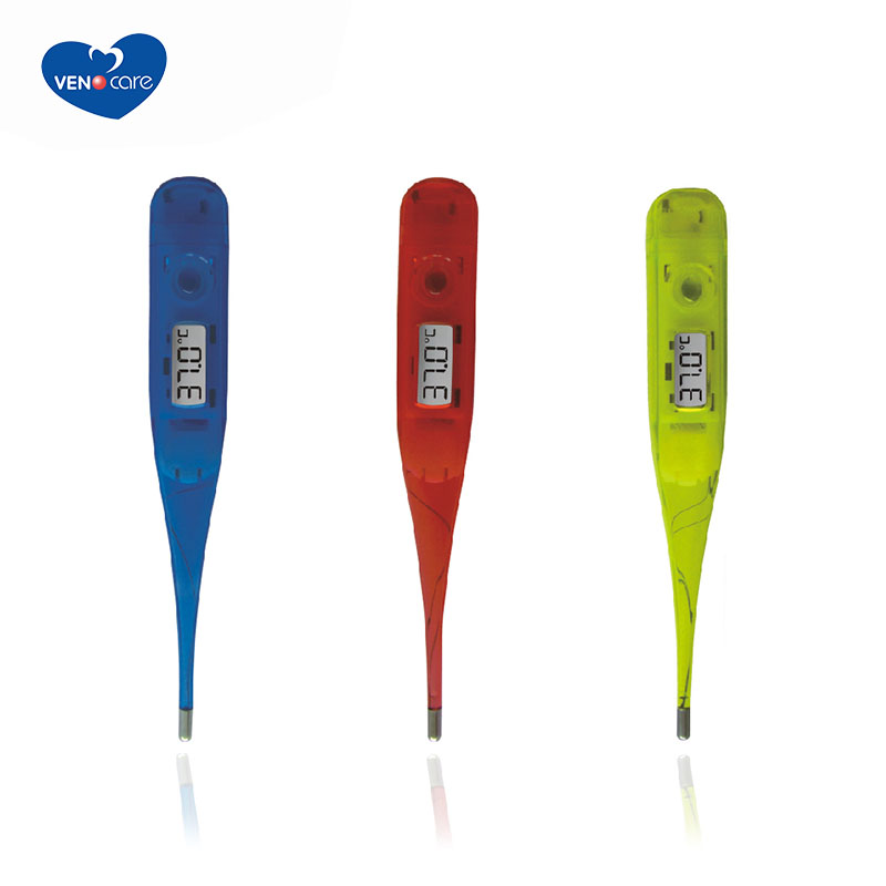 Transparent house Thermometer Digital